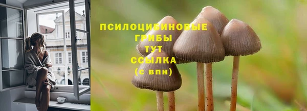 спайс Баксан