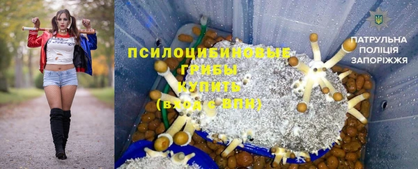 спайс Баксан