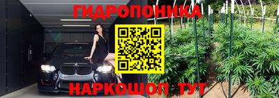 jwh Нальчик