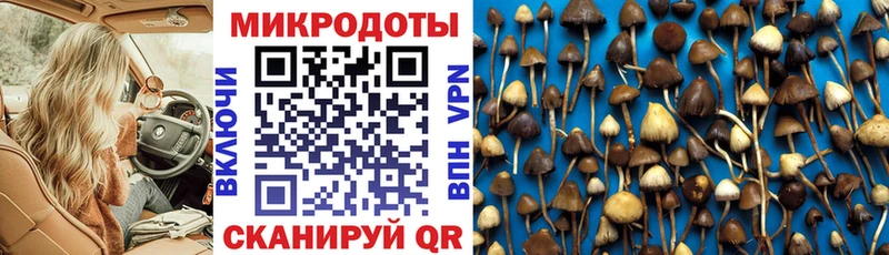 Псилоцибиновые грибы мицелий  Семилуки 