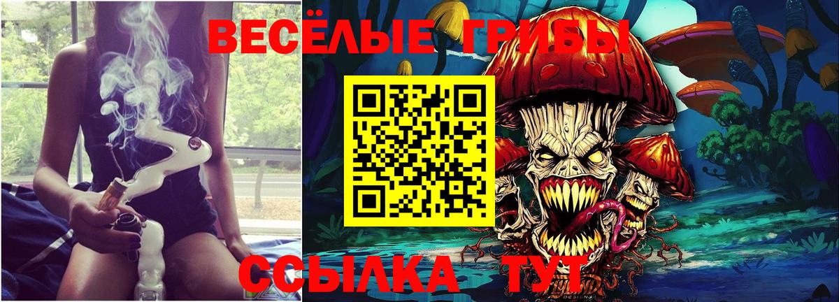 Псилоцибиновые грибы MAGIC MUSHROOMS  Вход с VPN  Псилоцибиновые грибы Psilocybe  Семилуки 